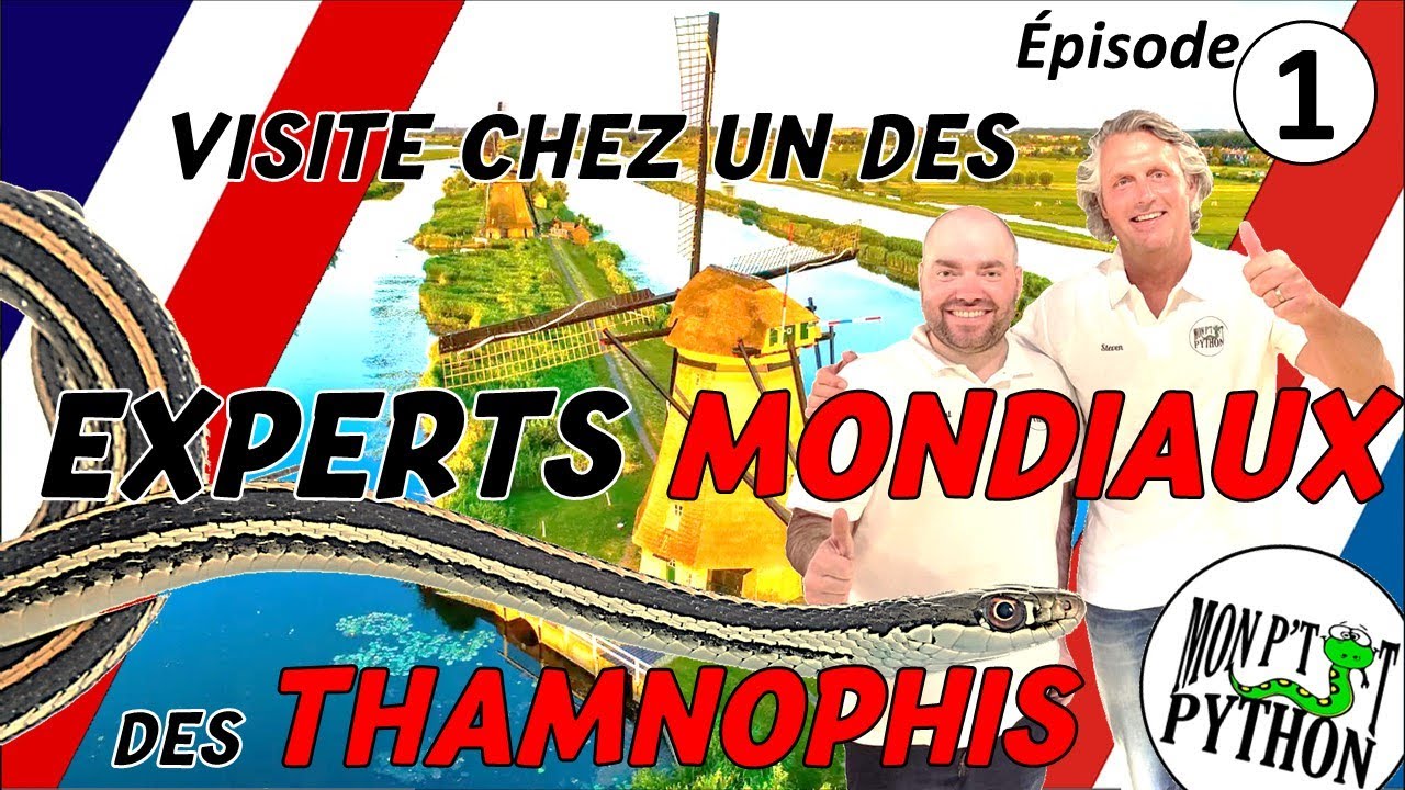 Ma visite chez STEVEN BOL (partie 1) / My visit to STEVEN BOL (part 1)