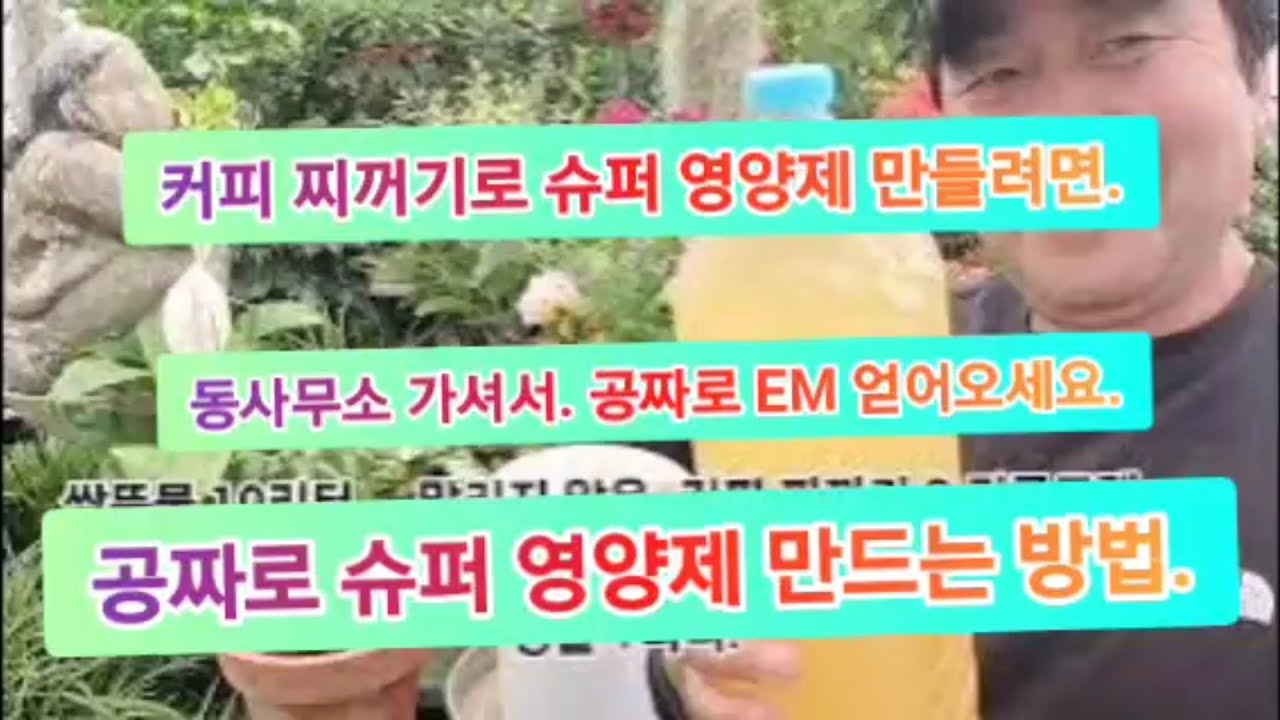 '커피 찌꺼기'로 식물의 천연 슈퍼 양양제 만드는 방법 (EM 미생물은 여기에서 공짜로 얻으세요!!)