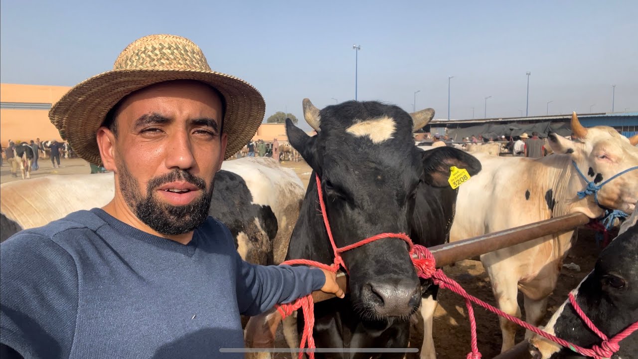 جولة بسوق الأسبوعي الخميس بمدبنة أولادتايمة هوارة البكري تمن ديالو طاح