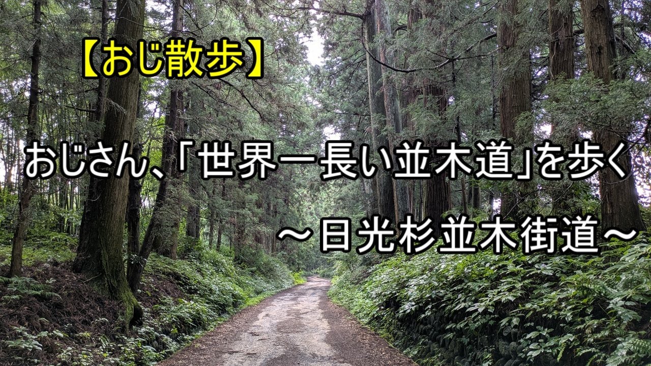 【おじ散歩　＃１１３】　おじさん、「世界一長い並木道」を歩く　～日光杉並木街道～