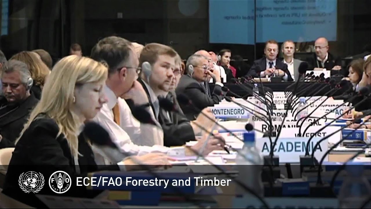Role and mission of the UNECE/FAO Forestry & Timber section