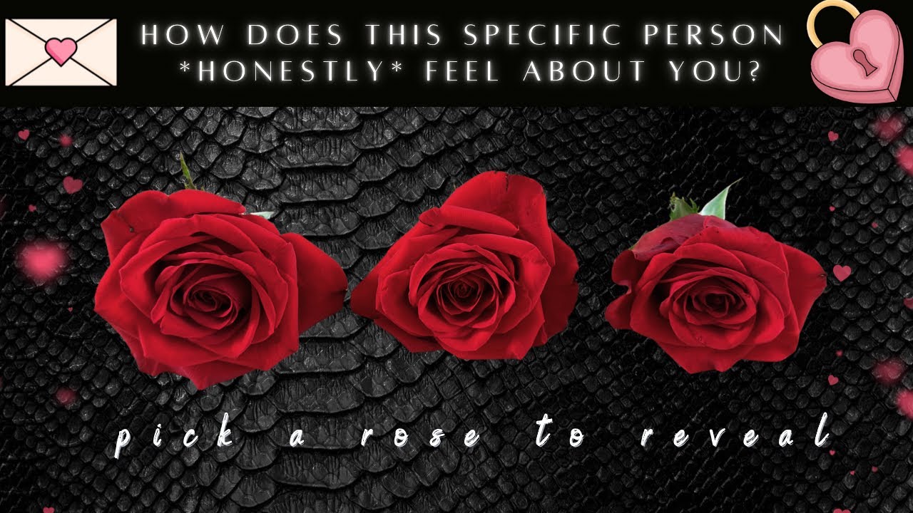 Pick A Card🌹INTUITIVE FLOWER Reading &bull;How Do They REALLY Think & FEEL About YOU Right Now?💌 (Anyone)