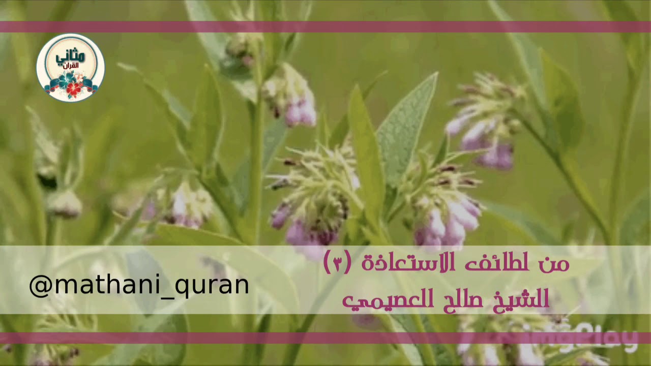 من لطائف الاستعاذة (٤) لماذا لا نختم تلاوتنا بشيء يميز القرآن ، الشيخ صالح العصيمي