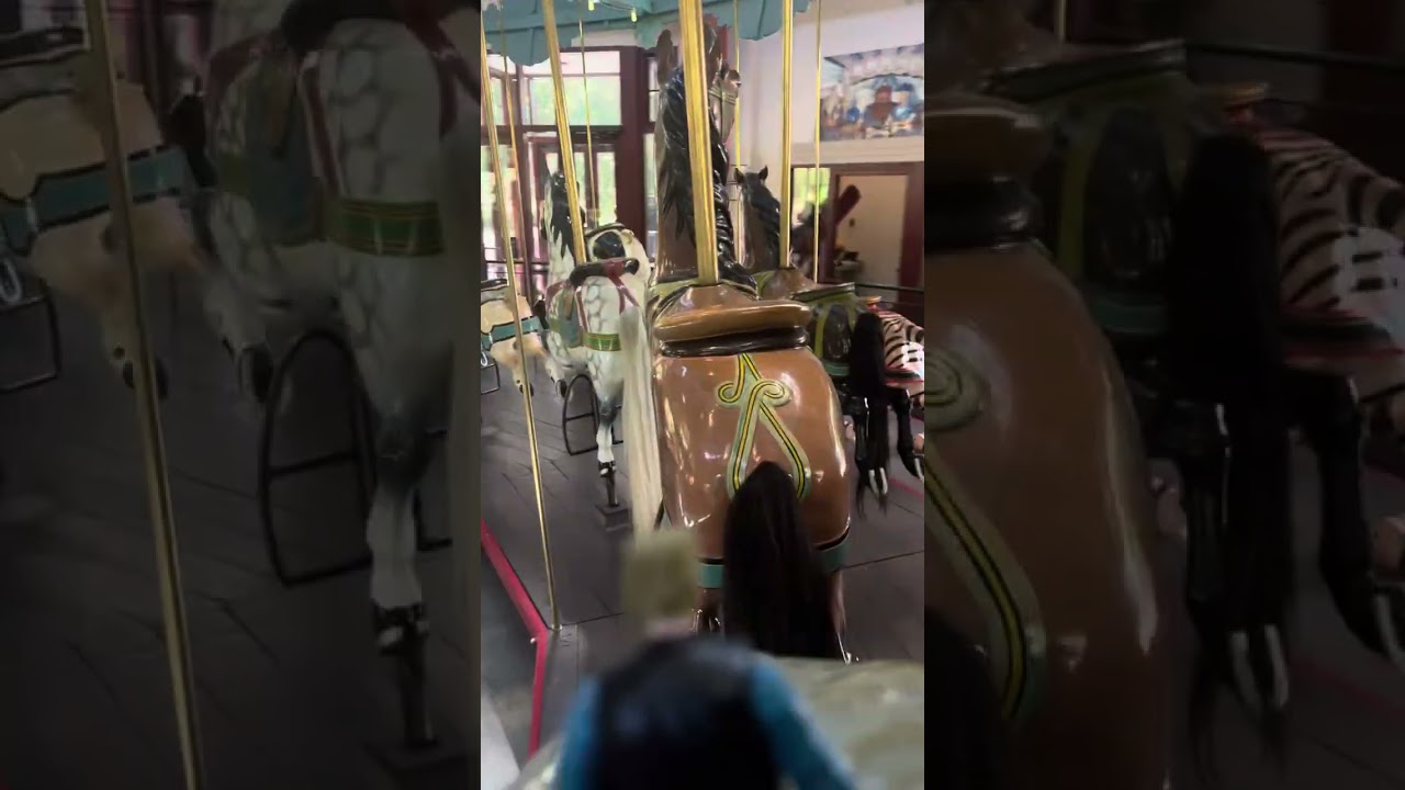 Fun Friday Carousel Ride