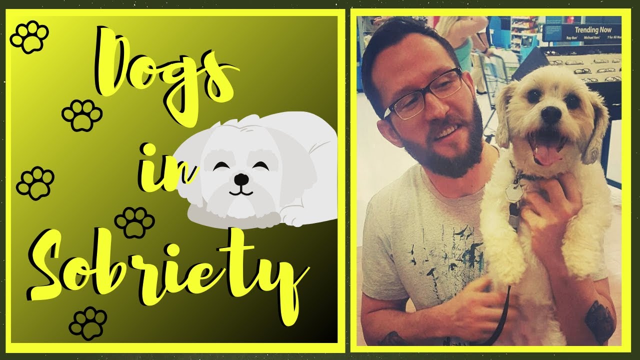 Sobriety: 5 Benefits of an ESA Dog, Animal Assisted Therapy