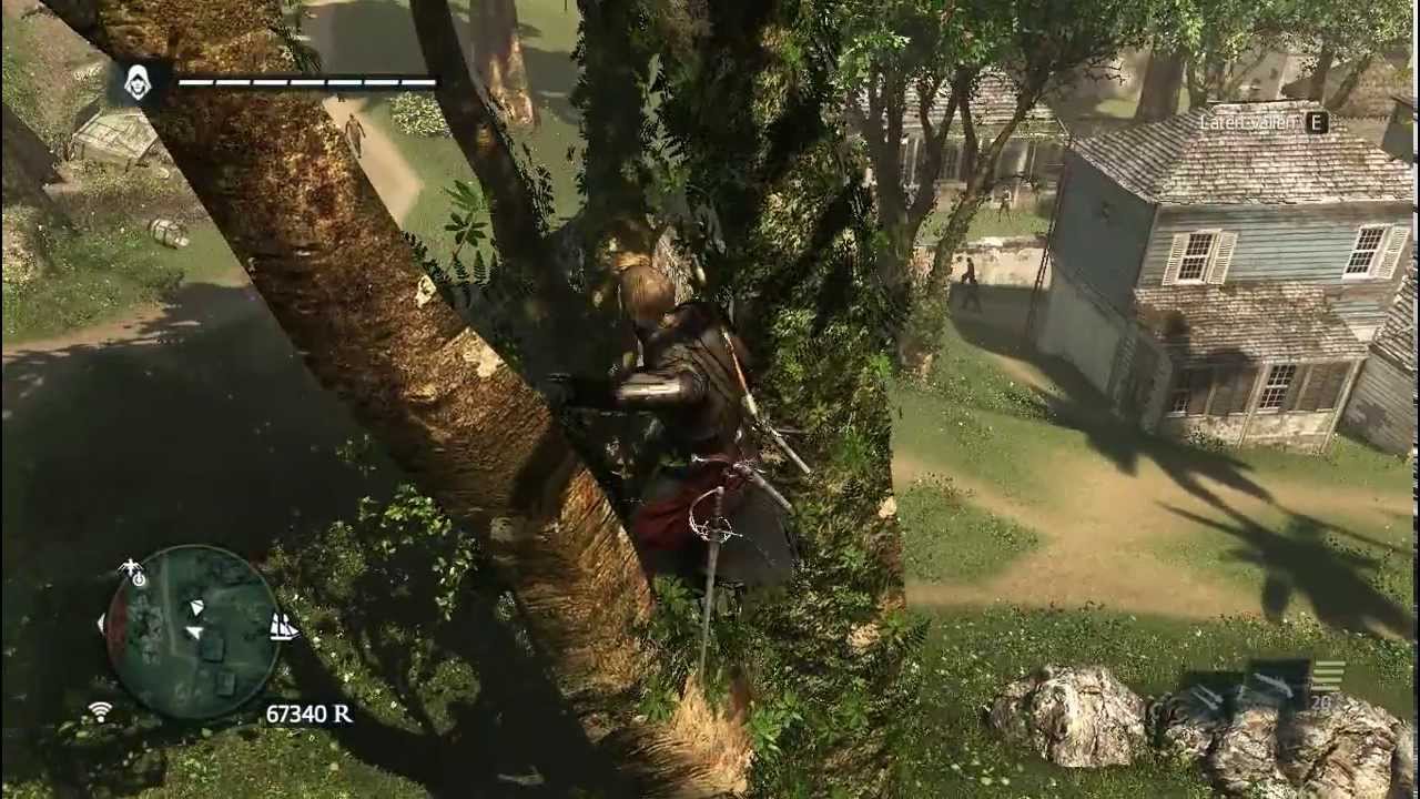 Assassin's Creed 4 - How to get Animus fragment in the tree -  Kingston