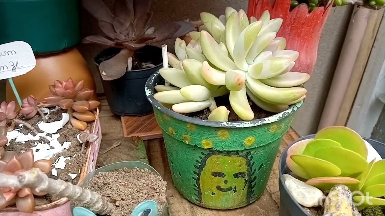 Reciclagem faz bem para o meio ambiente,se conscientize😉🌵🏵️🌱