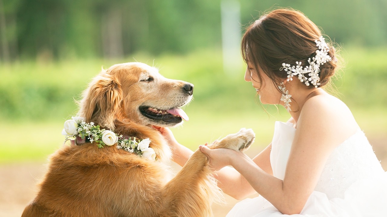 結婚して素敵な家族になれました【北海道旅・帯広】