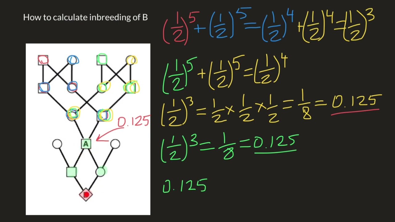 Advanced inbreeding calculations