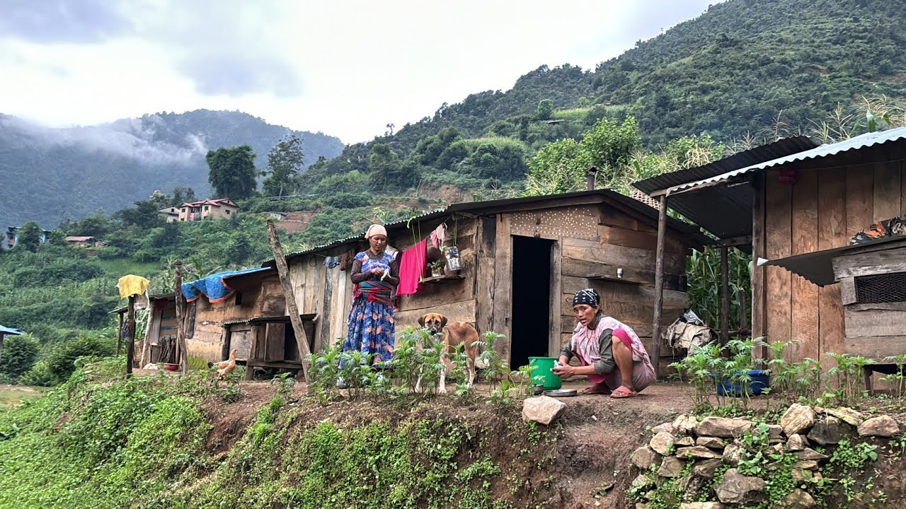 Rainy day in Nepal | Rainy day in mountain village | Village life of nepal | TheVillageNapal