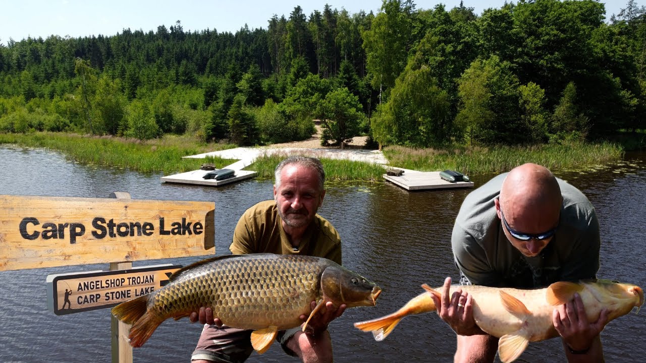 CARP STONE LAKE - karpiujemy w Austrii