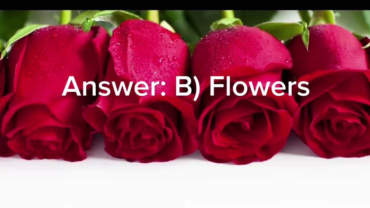 Mother&rsquo;s Day Quiz Fun Questions & Answers to Celebrate Mom!