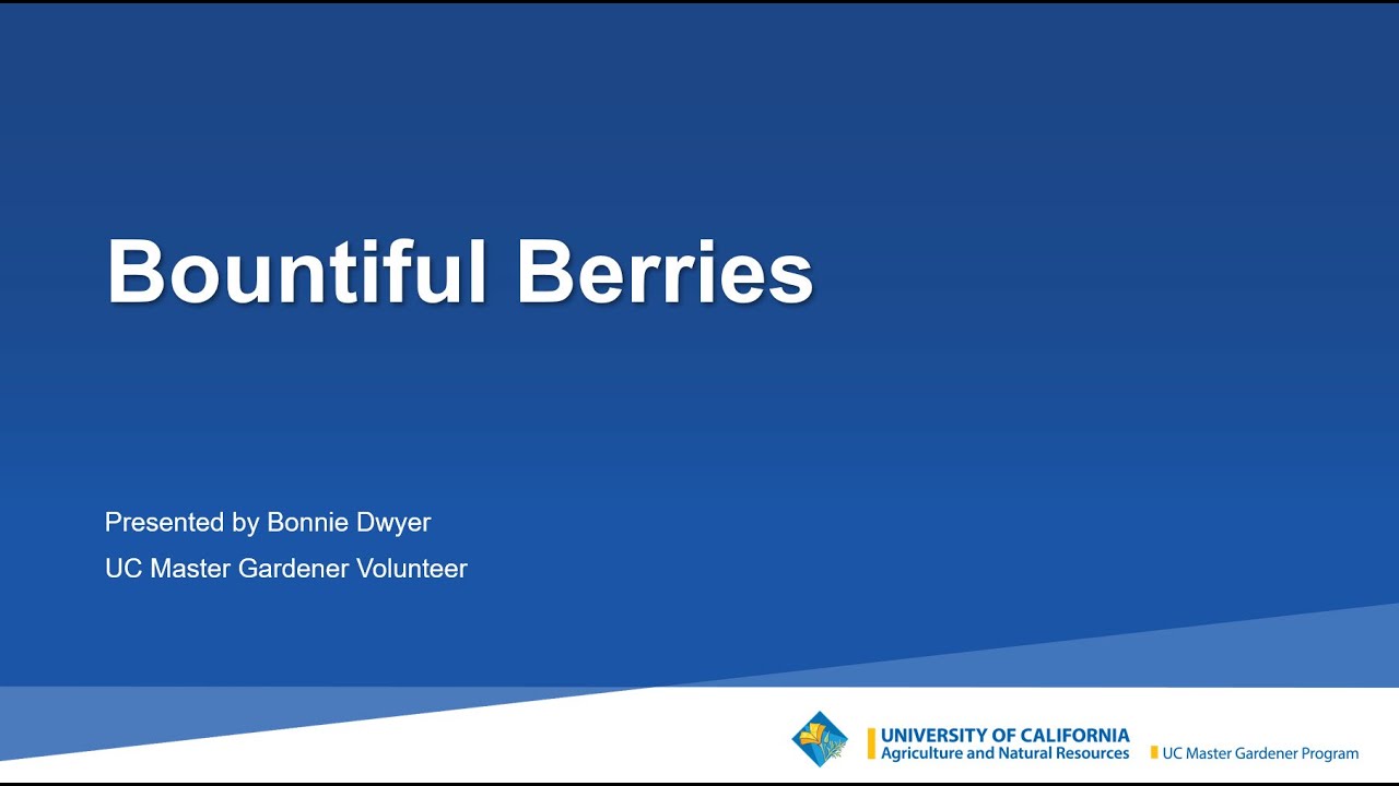 Bountiful Berries