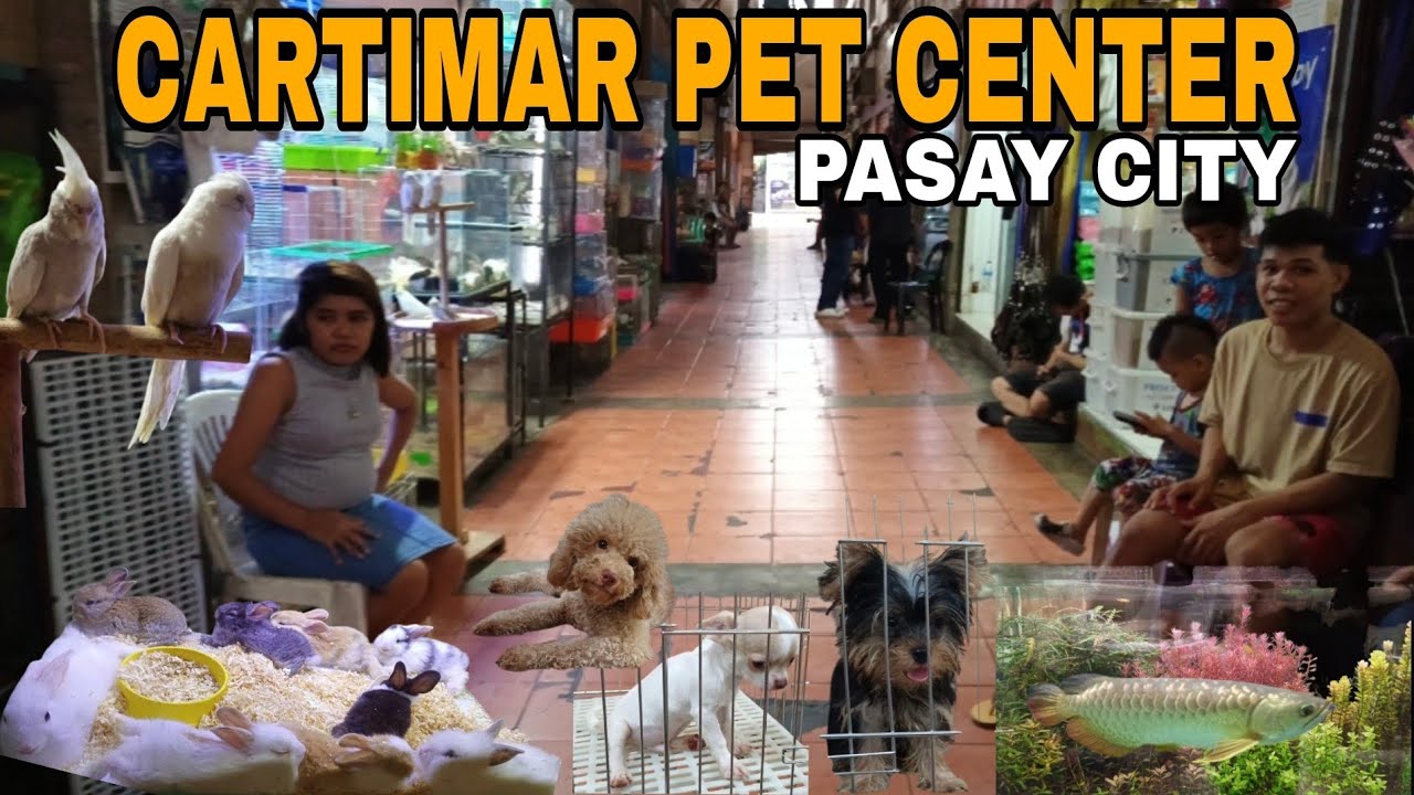 CARTIMAR PET CENTER | PASAY CITY | PHILIPPINES🇵🇭 [4K]