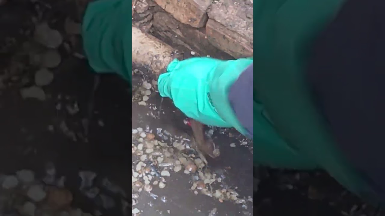 Hidrojateamento em tubulação de esgoto. 