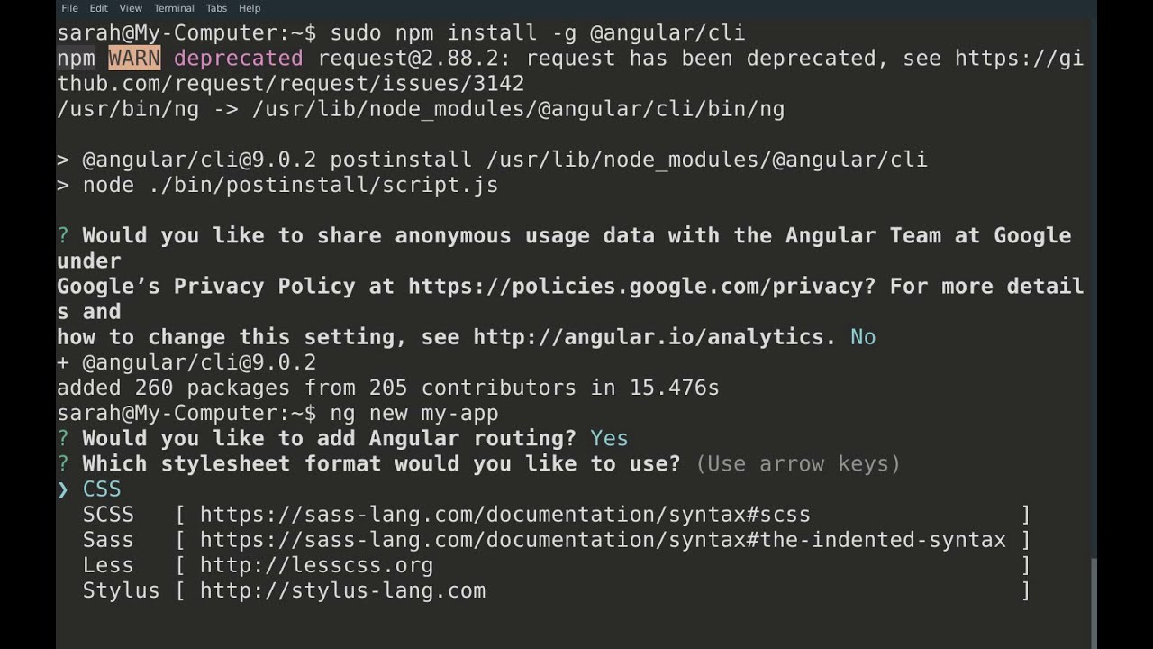 How To Create An Angular App On Linux