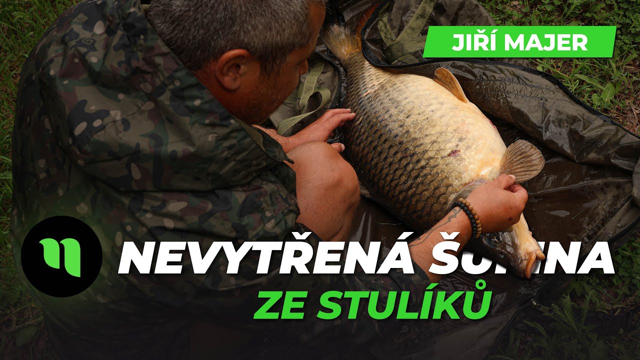 Jarn&iacute; lov kaprů na Labi | Jirka 