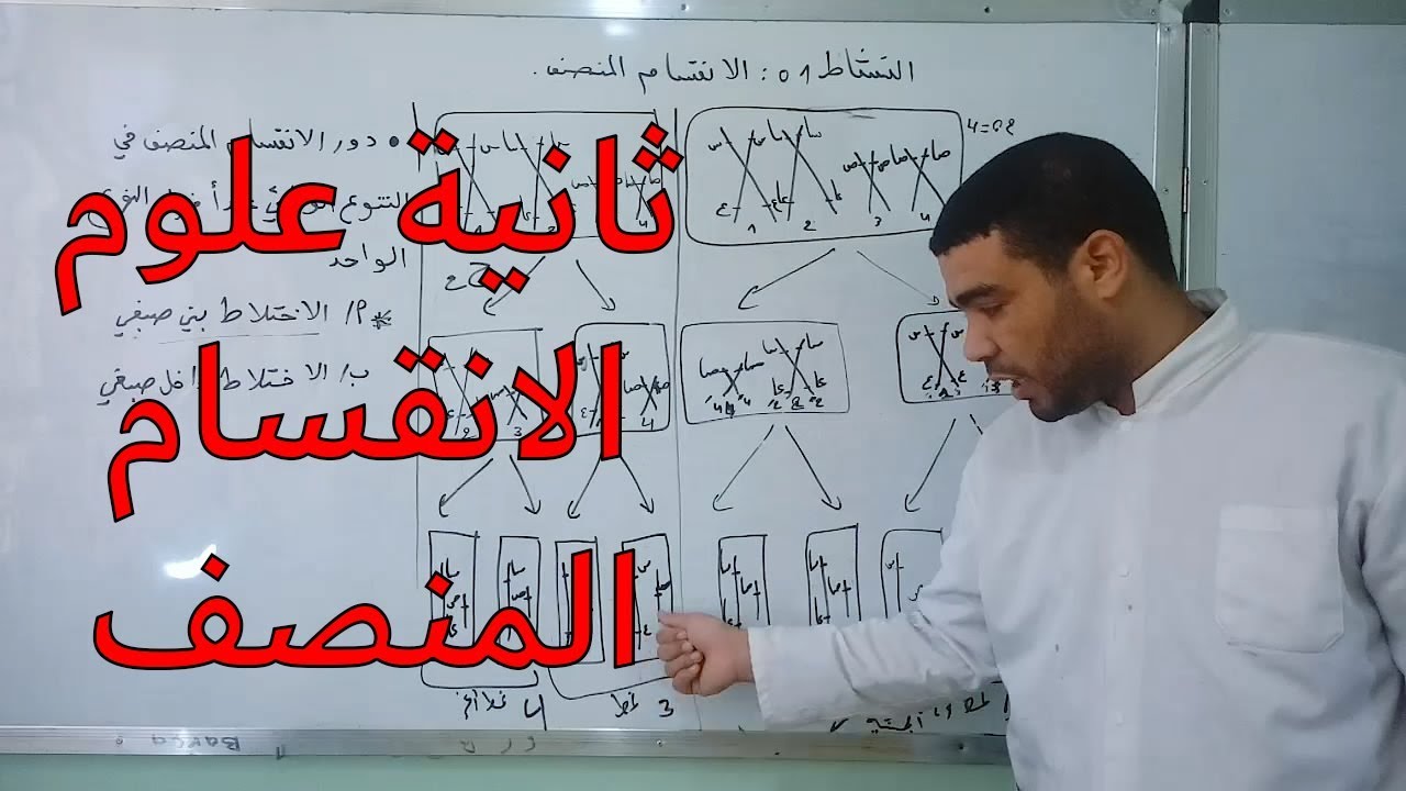 الحصة 30: الانقسام المنصف (الاختلاط بين صبغي)