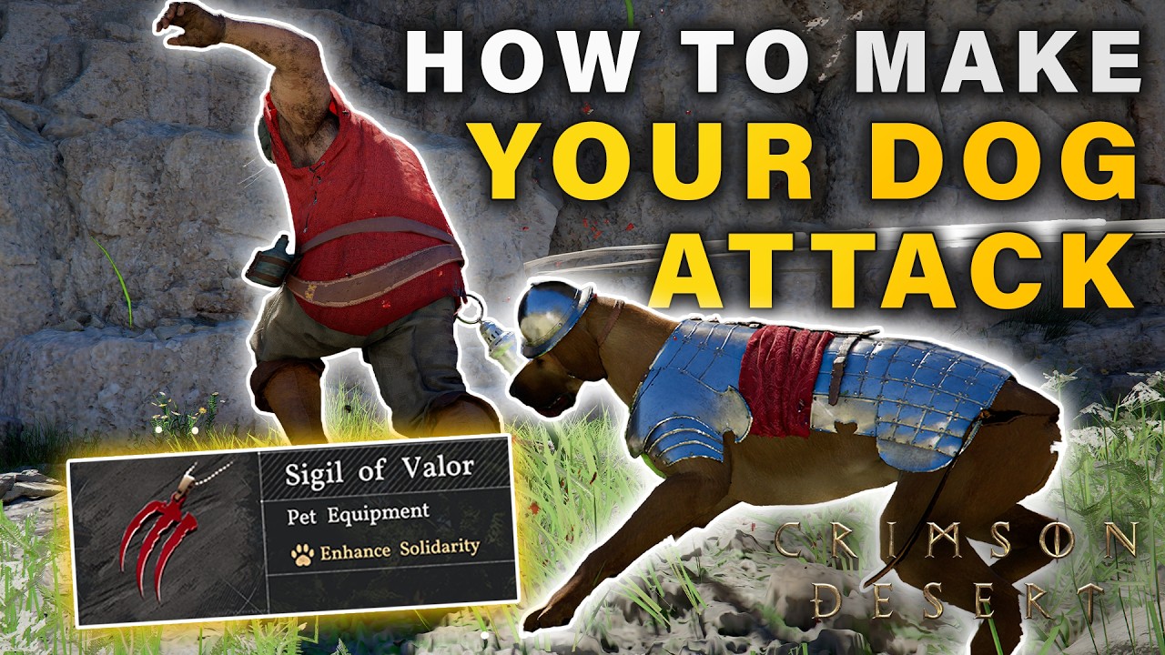 How to make your Pet Dog Attack Enemies in Combat ► Crimson Desert