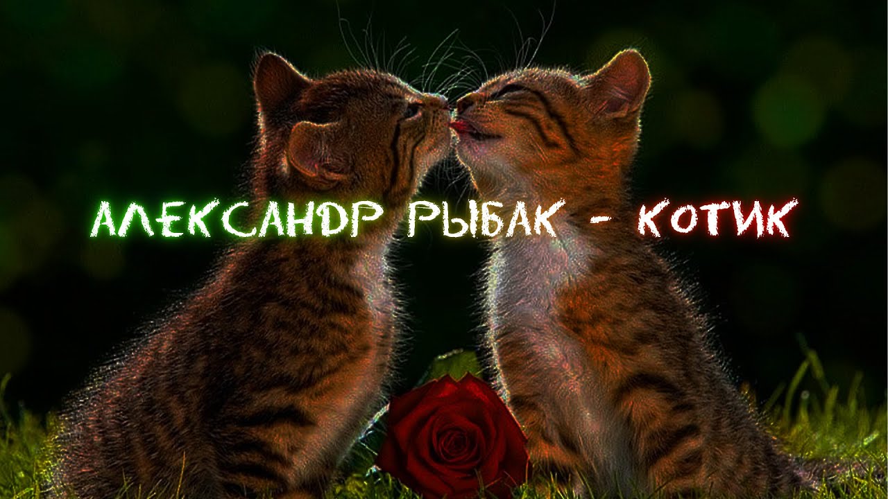 Александр Рыбак - Котик [slowed]