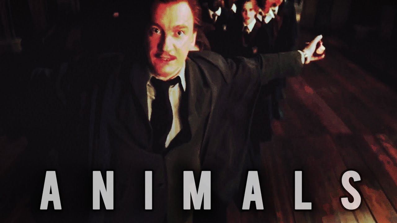 Remus Lupin || Animals