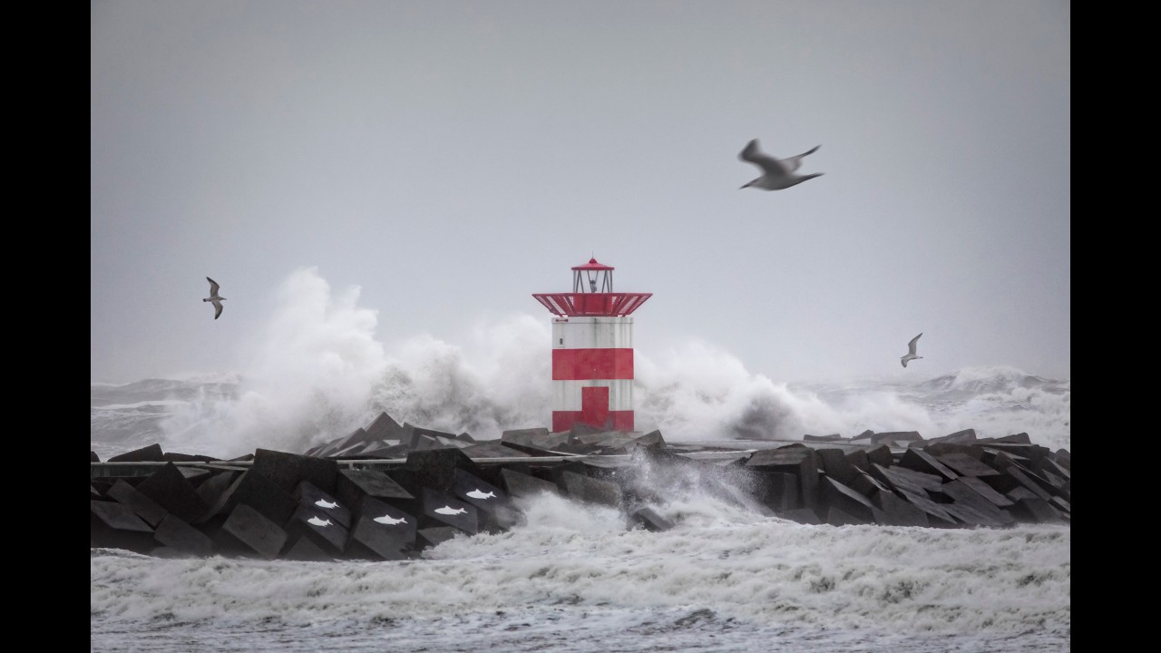 Danielle Braun & Marion van de Guchte - Turbulente tijden - blijven staan in de storm