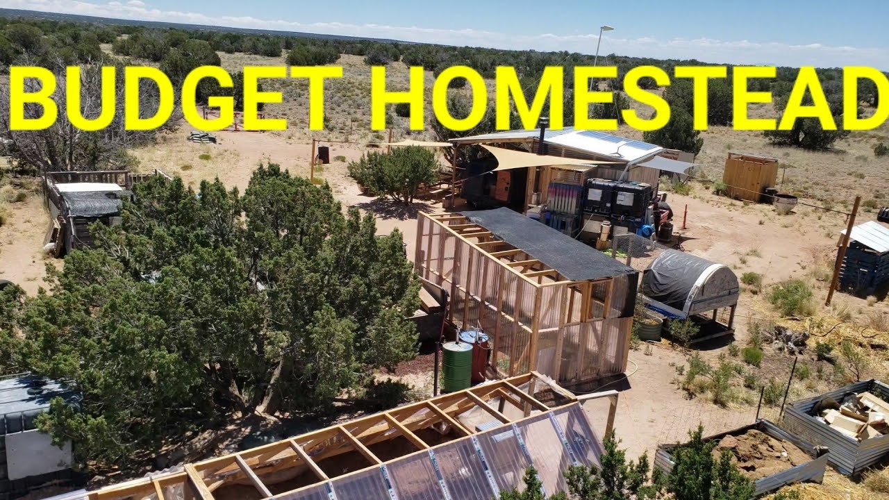 How to Start a Homestead With No Money (How I Actually Did It)