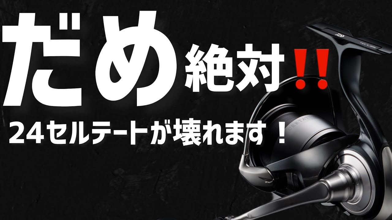 24セルテートのメンテナス注意点
