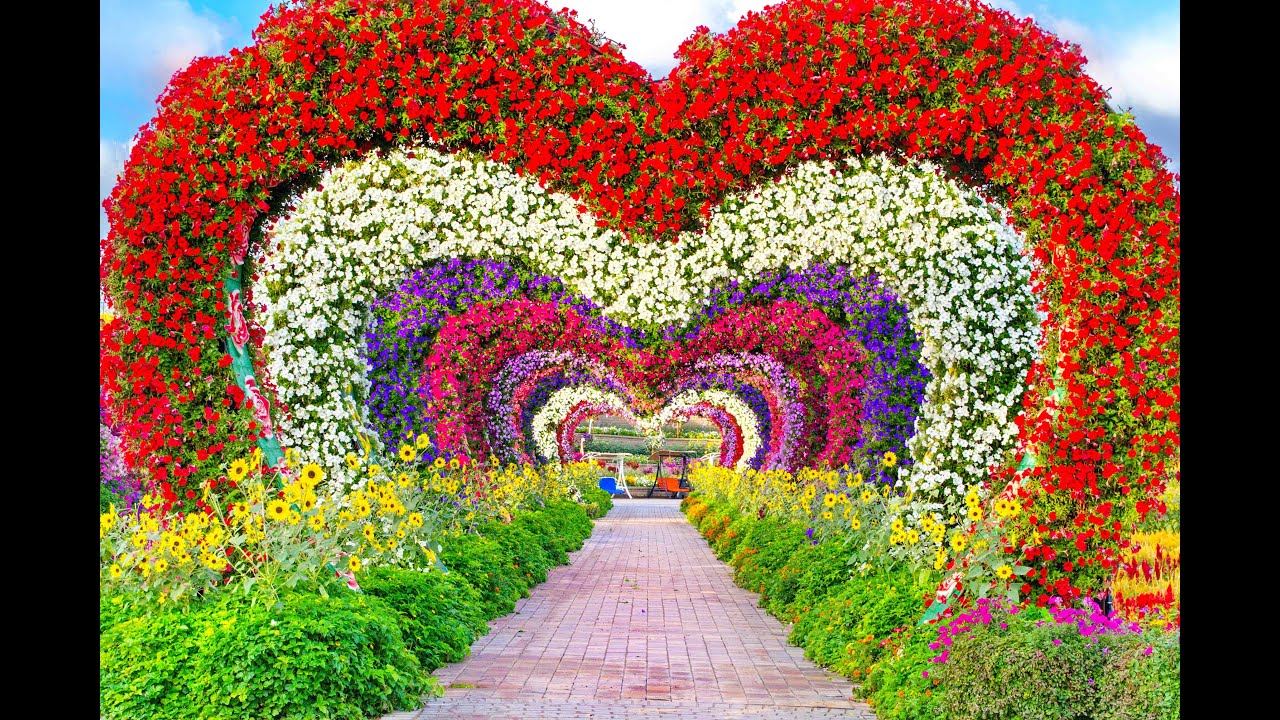 Dubai - 2023, part 3, Dubai Miracle Garden