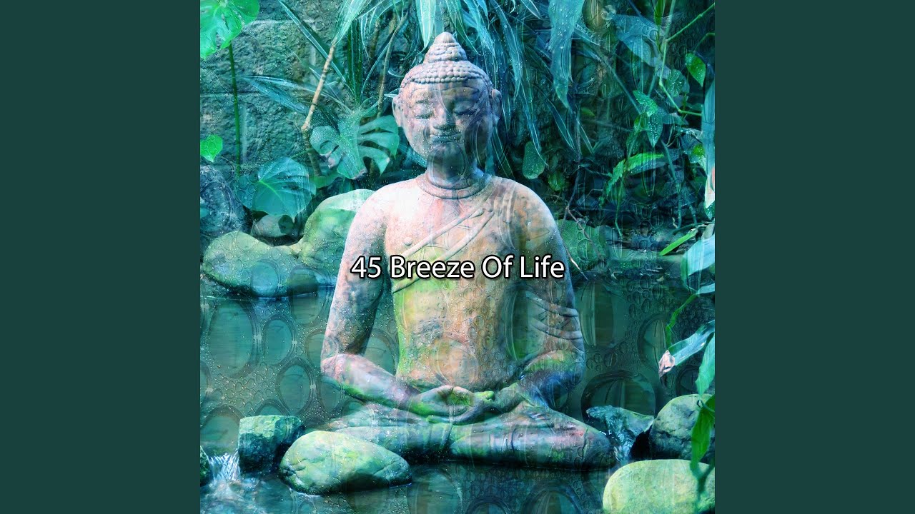 Simplify Your Day