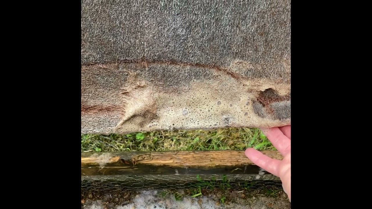 How to Clean a Western Felt Pad
