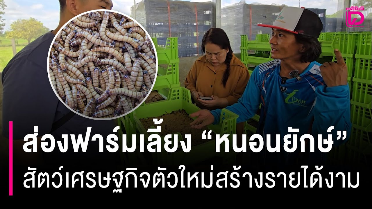 ตามส่องฟาร์มเลี้ยง 