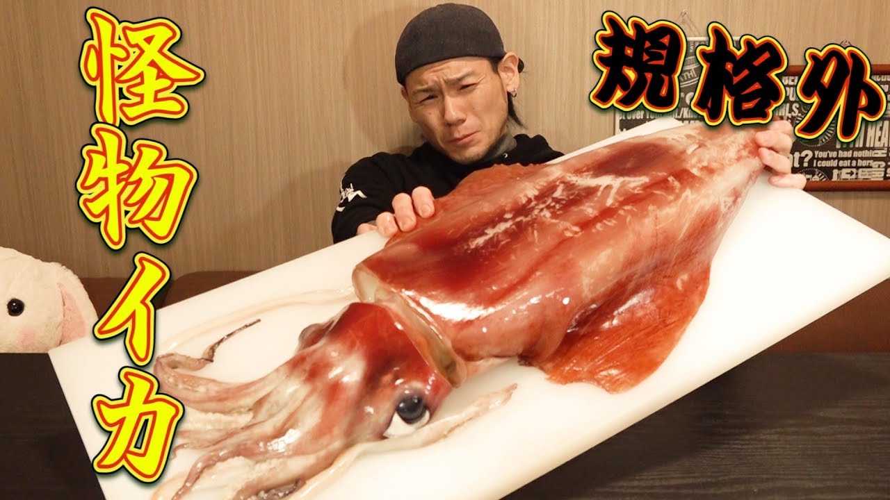 【大食い】規格外な巨大イカを丸ごと食す！～刺身＆巨大イカリング～