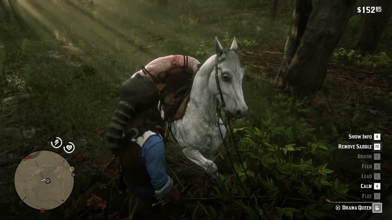 Chibyrd playn' RDR2 - 178 - Treasure Hunter  - Jack Hall's Gang 2 & 3 - Fortune & Glory - iz Cursed!