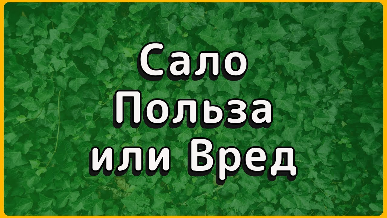 50 грамм САЛА в день &mdash; что будет с организмом через месяц