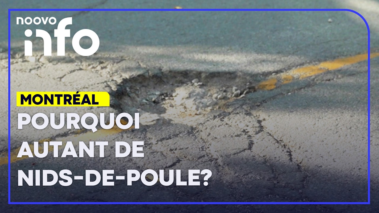 Pourquoi autant de nids-de-poule sur nos routes?