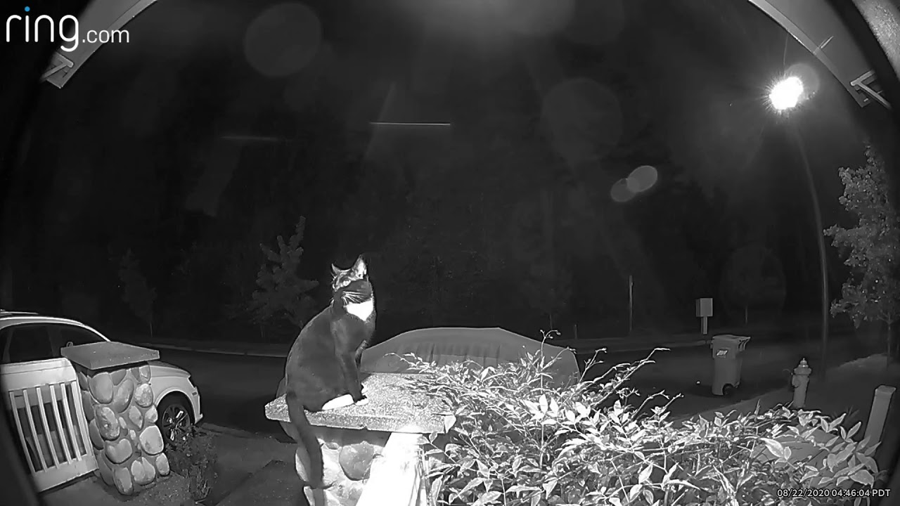 Ghost caught on Ring camera