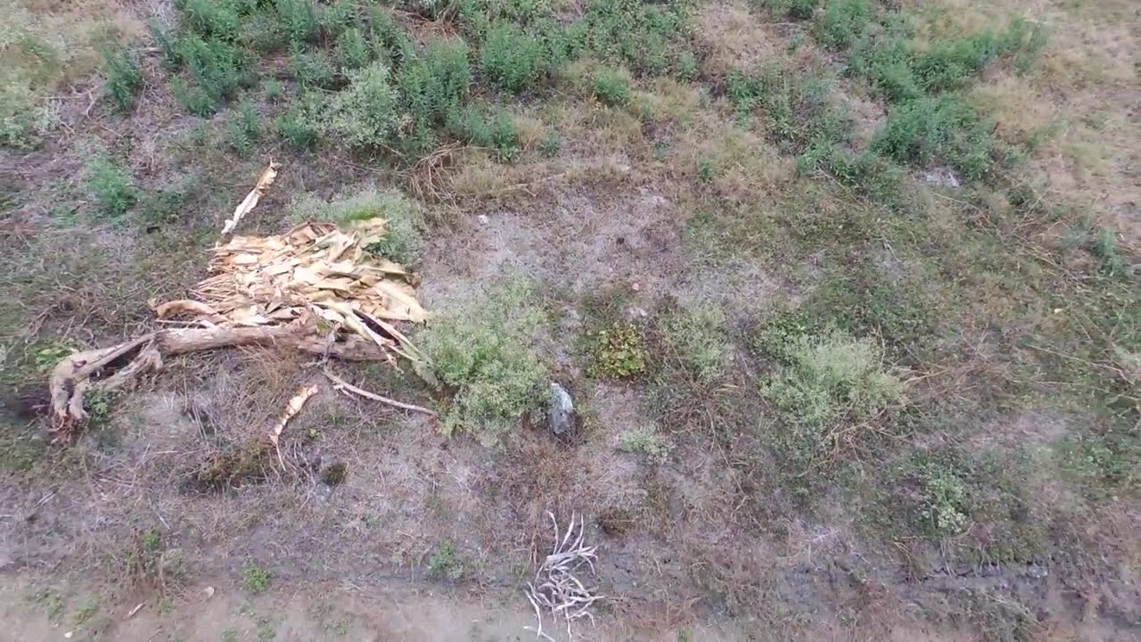 Vereda Palermo, Caldas 🇨🇴 desde el Cielo (Parte 2) | Más Vistas Aéreas con Drone