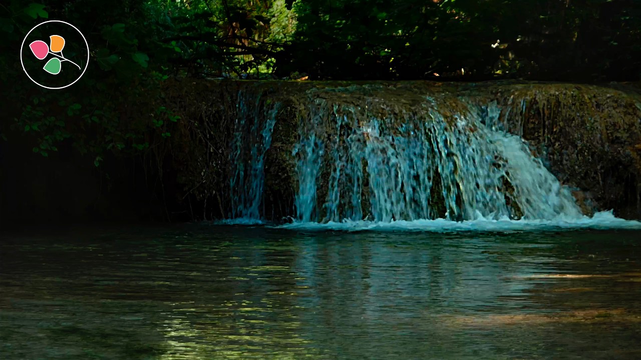 Young Waterfall in a Lush Forest 🌿 Relaxing Water Sounds & Birds Singing