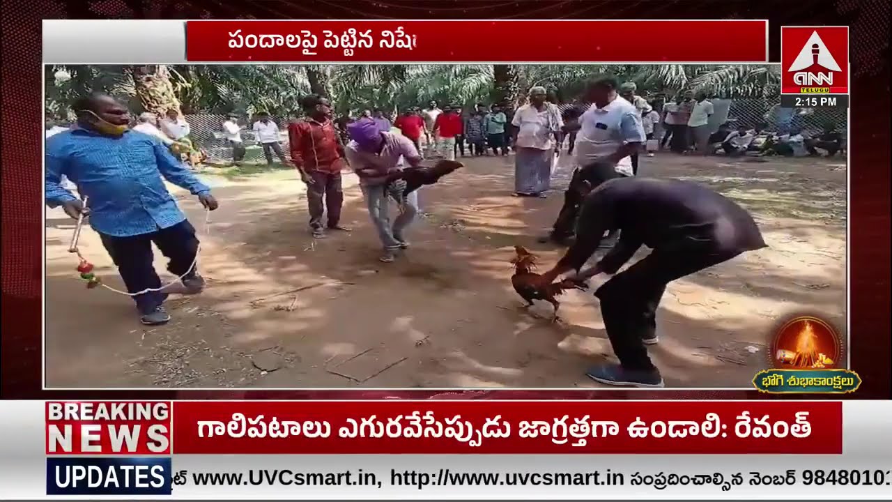 పందాలకు ఈ పాస్‌లు ఉంటేనే ఎంట్రీ ..| Special Passes For Kodi Pandalu | ANN Telugu