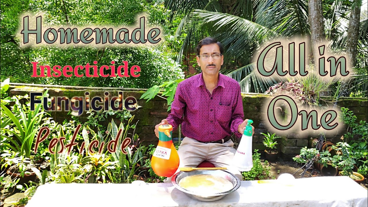 How to make Insecticide, Pesticide , Fungicide , Antibiotics Miracle All in one Solution.