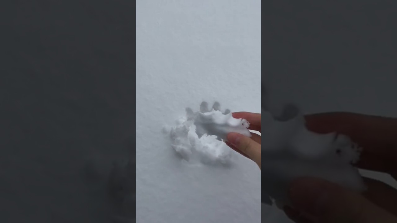real snow eating #ice #iceeating #snow #snoweating #icebites #whiteice #iceasmr