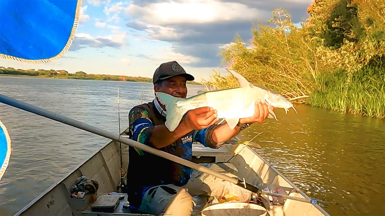 PIRÁ, O PEIXE AZUL