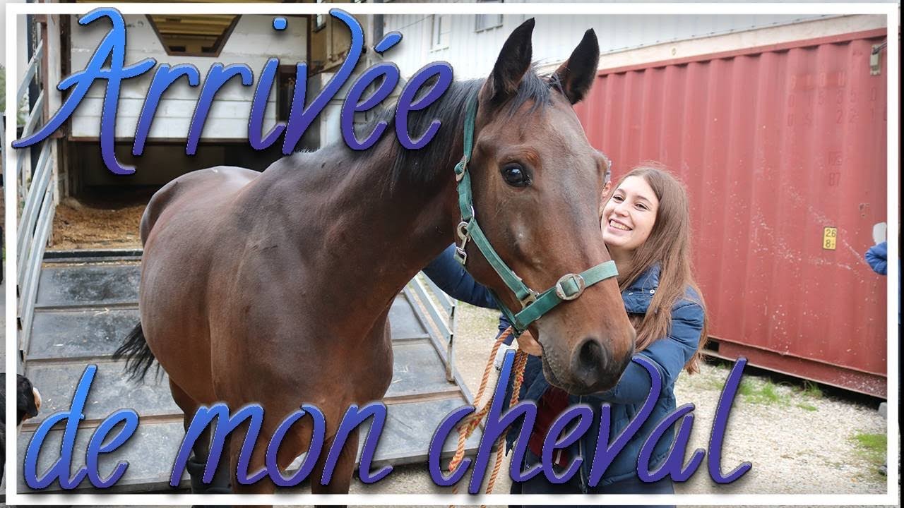 Arrivée de mon cheval 17/10/2020 - Une nouvelle aventure commence !
