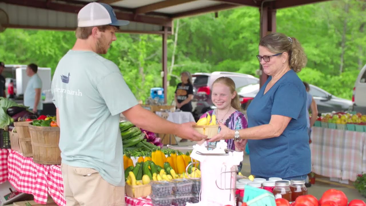 Discover Chester County