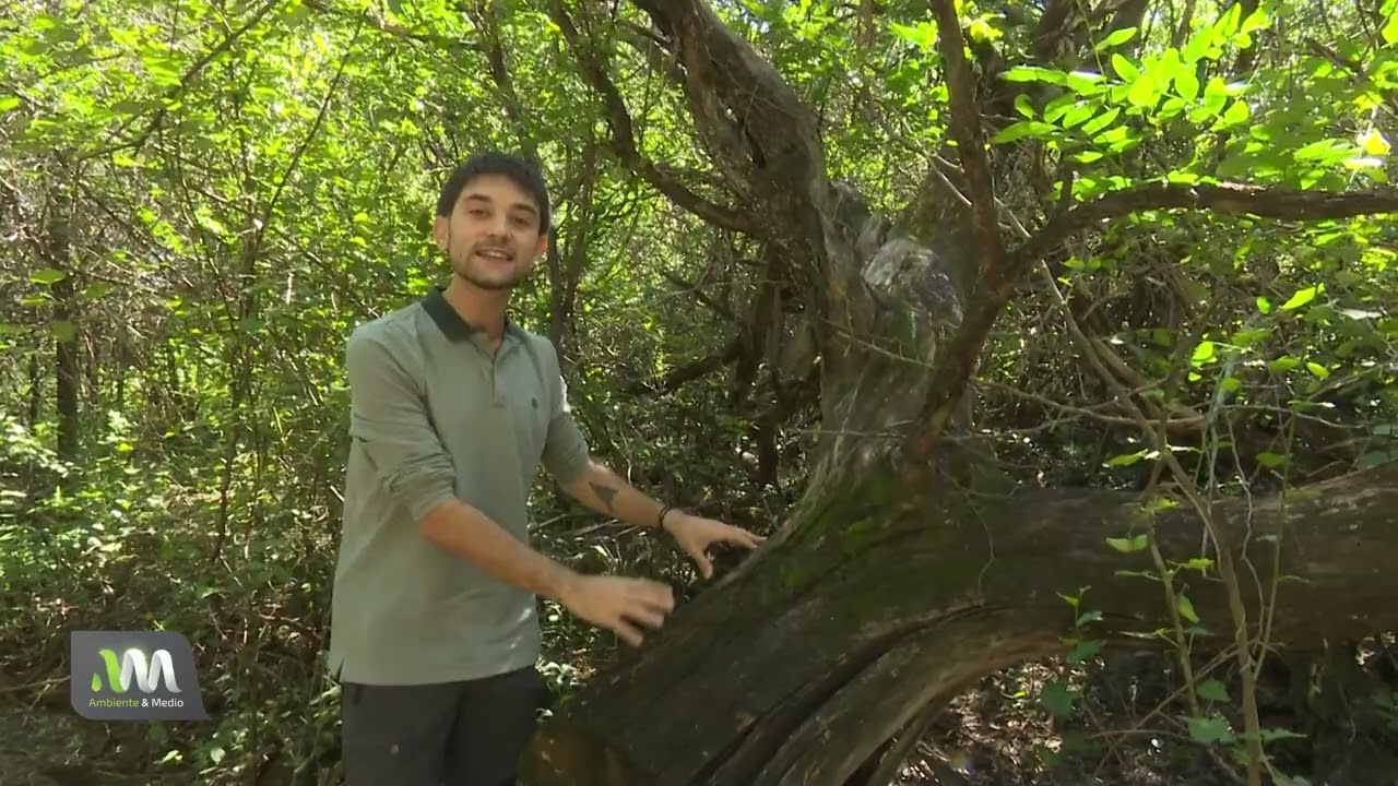 Parque Nacional El Impenetrable - Parte 2