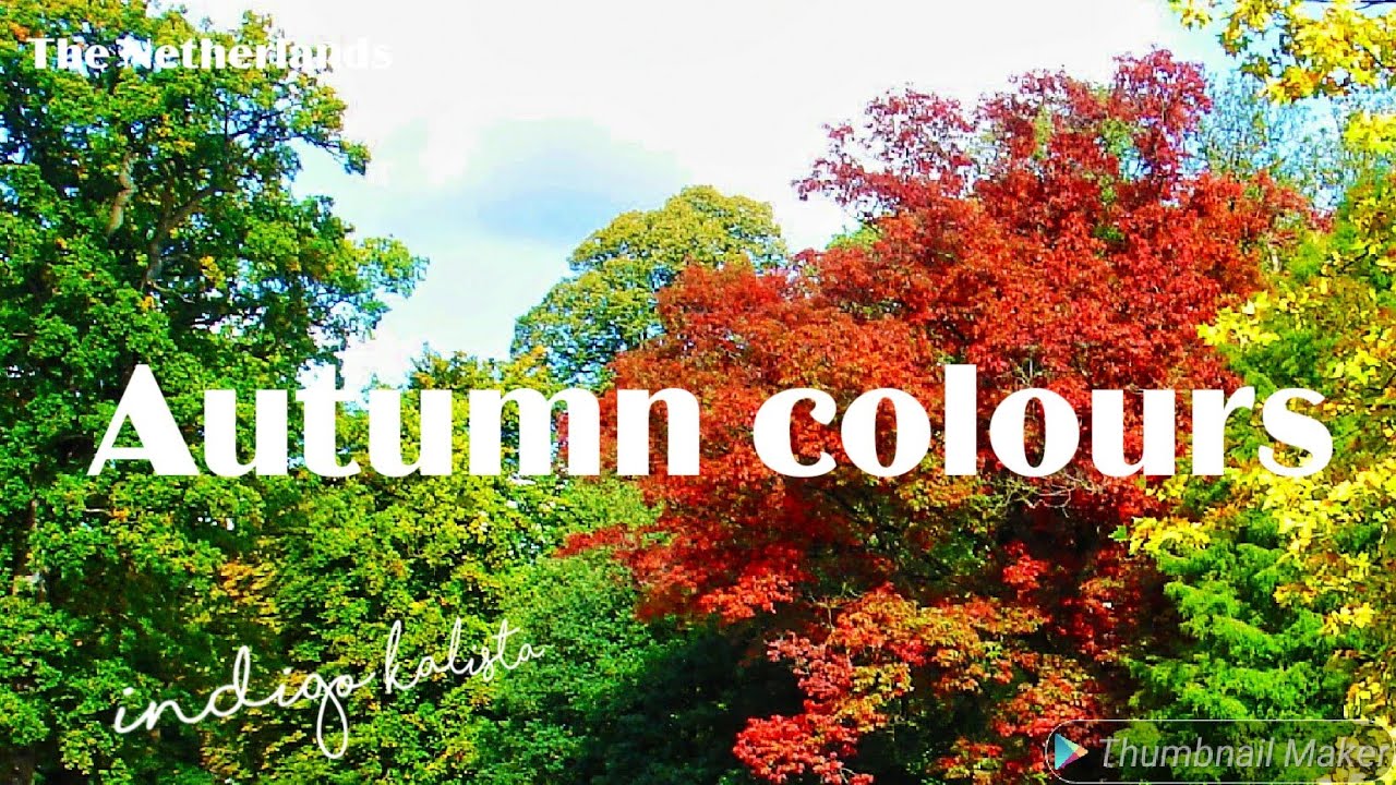 Autumn colours - The Netherlands