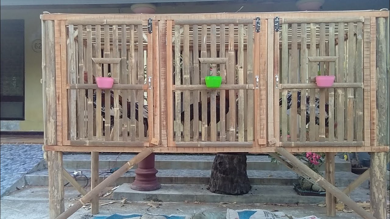 KANDANG AYAM BUAT  PEMBESARAN!!