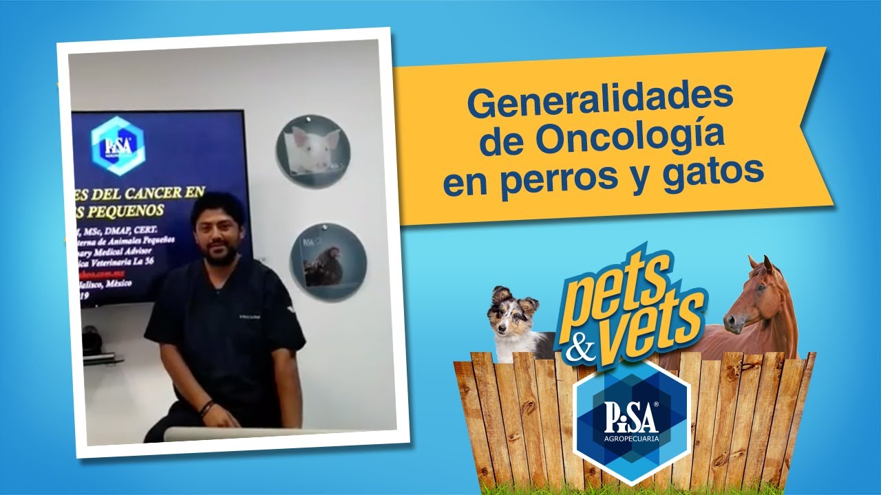 Generalidades De Oncolog&iacute;a En Perros y Gatos Con H&eacute;ctor Del Riego