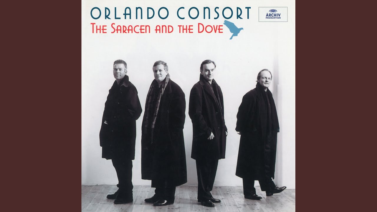 Ciconia: Una panthera